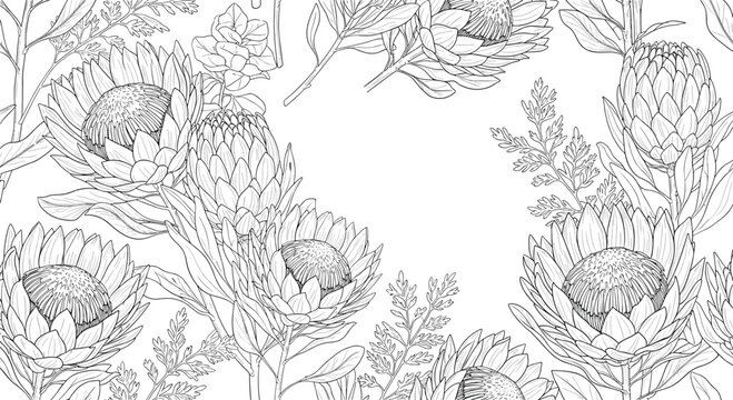 Seamless botanical pattern featuring hand drawn protea flowers and fern leaves in black ink on a clean white background for textile design.