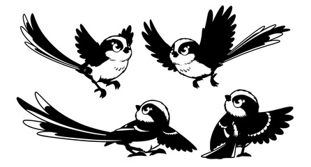 Hand drawn long tailed tit birds sketch style poses vector illustration set isolated on white background © Md