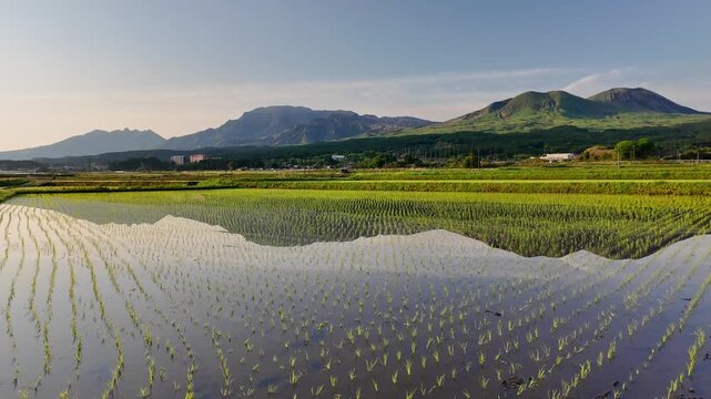 カルデラに広がる田んぼと阿蘇五岳
