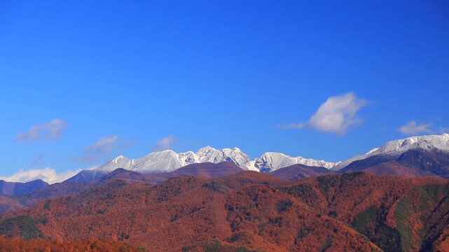 陣場形山から望む仙丈ヶ岳と紅葉のカラマツ林