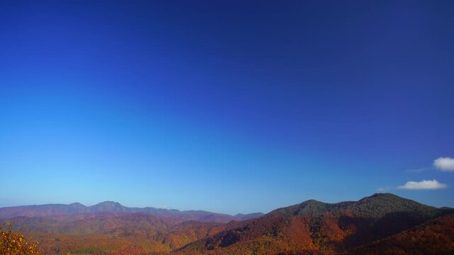 賀老高原のブナ林の樹海と大平山などの山並み