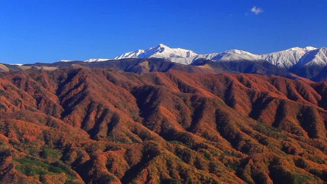 陣場形山から望む塩見岳と紅葉のカラマツ林と月