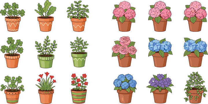 Cute Potted Plant and Flower Vector Set with Succulents, Hydrangea, Rose, Herbs, and Colorful Indoor House Plant Pot Designs