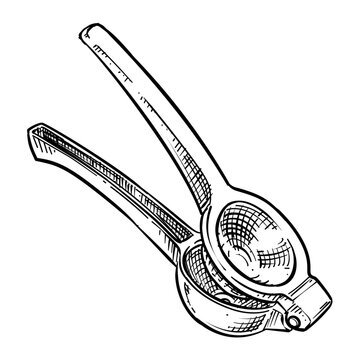 manual juicer citrus lemon squeezer vector line art hand drawn illustration