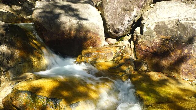 紅葉の田立の滝の天河滝