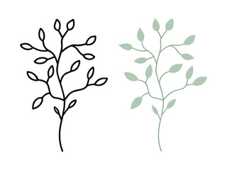Fototapeta premium Dense twig tiny leaf illustration, Minimalist Branch Set