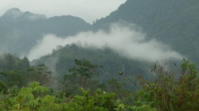 A cinematic drone shot captures thick, white fog flowing gracefully between the lush green foothills of a mountain range in Central Sulawesi