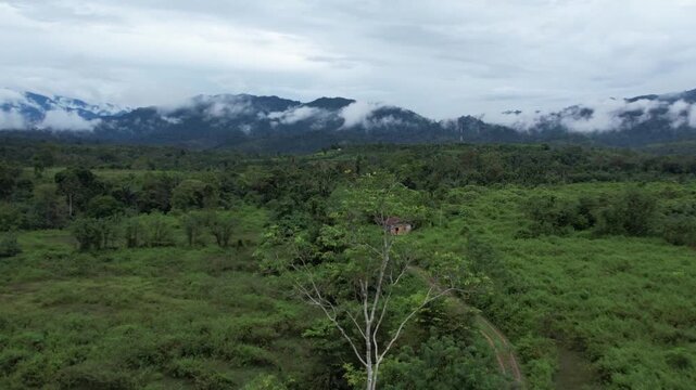 A cinematic drone reveal shot gradually unveils the majestic, cloud-covered mountain ranges and dense tropical forests of Aceh, Sumatra