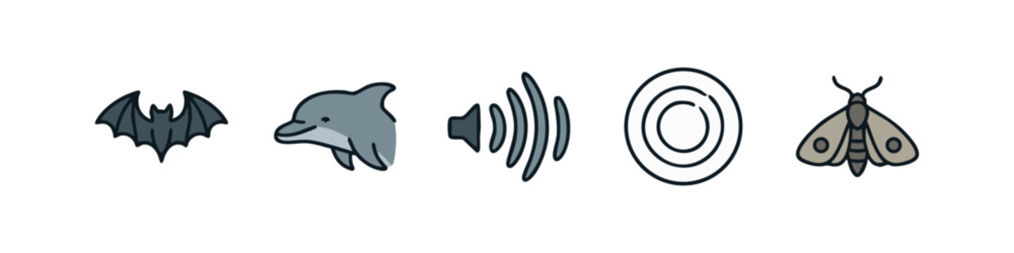 Echolocation and Sound Sensing Icons Set with Bat Dolphin and Sonar