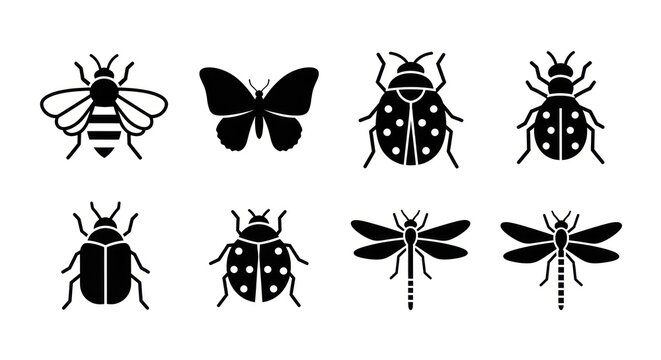 Black insect silhouettes collection bee butterfly beetle dragonfly designs
