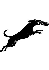 Fototapeta premium Black silhouette of a dog jumping to catch a flying disc.
