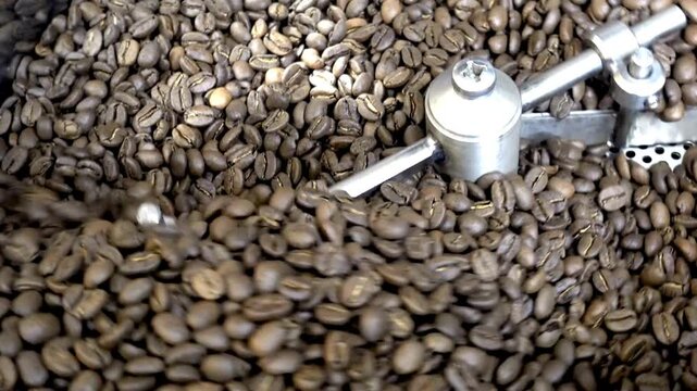 Industrial Coffee Roaster Beans roasting in vintage Probat machine coffee cylinder cooling 4k