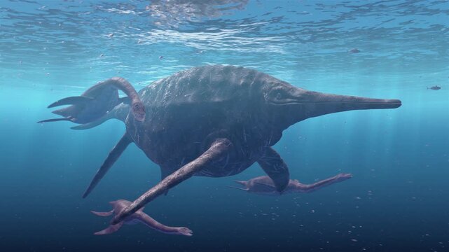 A 4K, 12-second 3D animation captures a majestic, giant shonisaurus swimming alongside a group of long-necked plesiosaurs in a sun-drenched prehistoric ocean.
