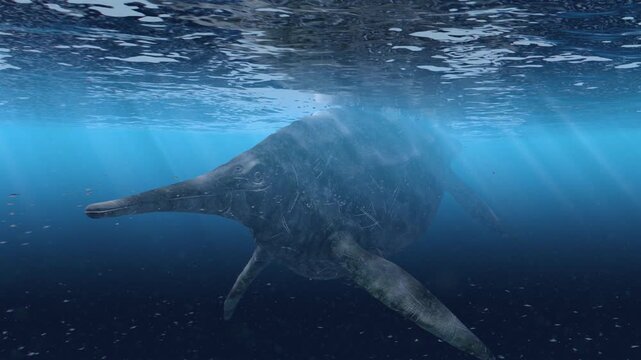 Majestic 4K 3D animation of a giant Shonisaurus ichthyosaur gliding through hazy prehistoric deep waters, surrounded by swirling bait balls and filtering sunbeams
