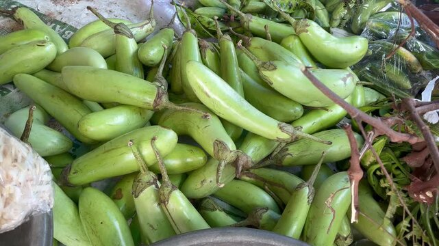 Close up of Raw Long Green Eggplants (Solanum Melongena L.)