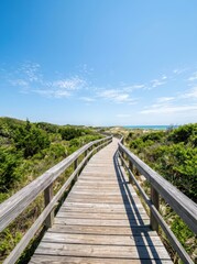 Fototapeta premium A wooden boardwalk curves into the distance, leading through a coastal landscape. The path is bordered by a wooden railing and flanked by lush green vegetation and sandy dunes.