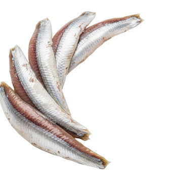 Raw herring fillets on transparent background