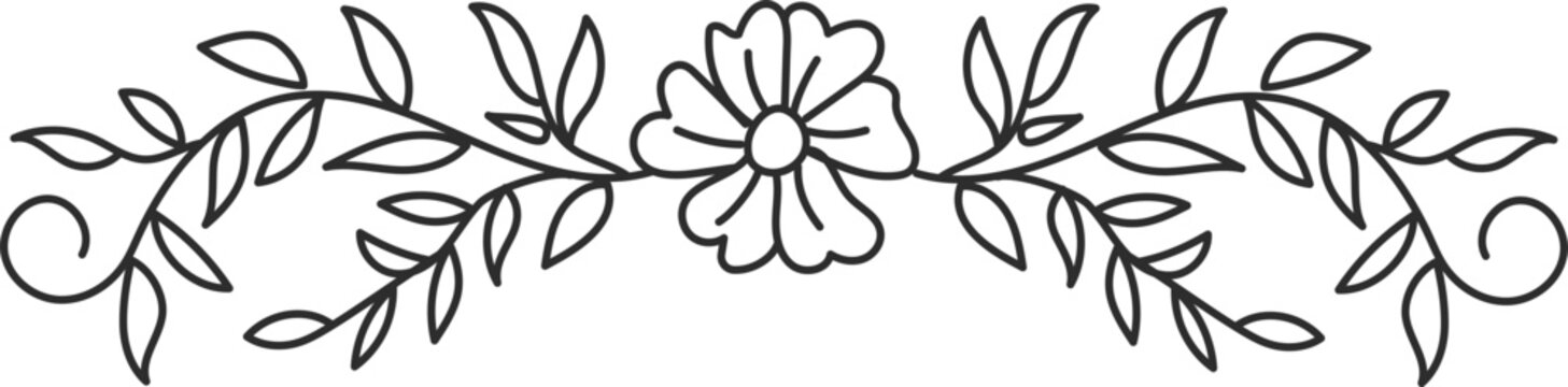 Minimal flower line art illustration