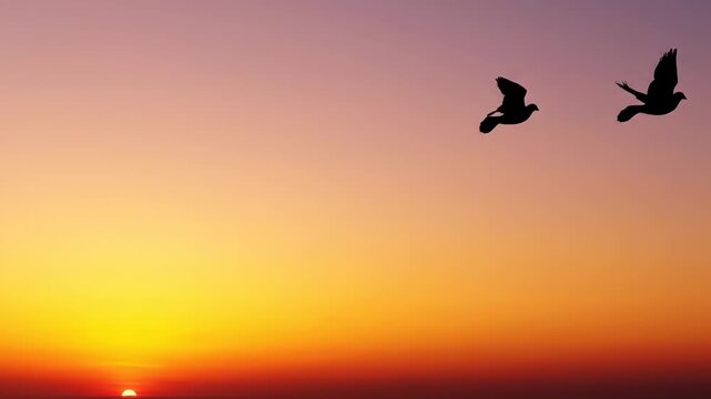three Birds Silhouette Flying Across Golden Sunset Sky with Minimal Composition