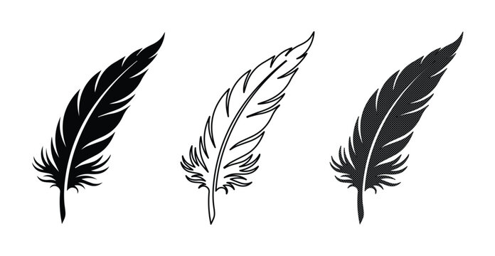 Minimalist feather vector icons set, black and white quill pen illustrations, elegant bird plumage silhouettes for logo design and stationery