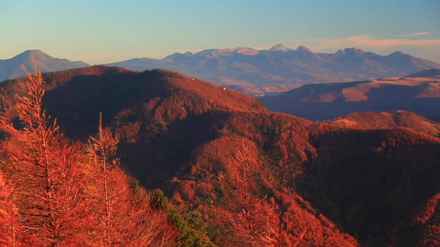 夕方の王ヶ鼻から望む富士山と八ケ岳と紅葉の樹林