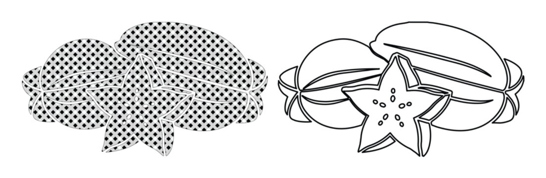Starfruit vector illustration, tropical carambola fruit line art, exotic star fruit icons with halftone texture and black outlines