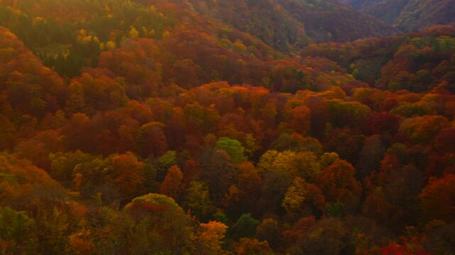城ヶ倉大橋から望む城ヶ倉渓谷の紅葉,夕景