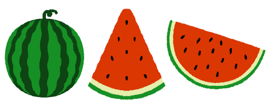 Fresh ripe watermelon clip art set. Tropical summer fruit hand drawing in whole, slice, and cut elements vector illustration.
