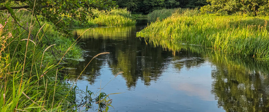 Spring on the small Grabia River, Poland.