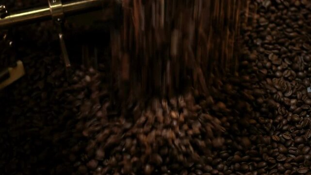 Coffee roaster cooling off fresh roasted coffee beans Batch of Beans in cylinder machine. High quality 4k footage