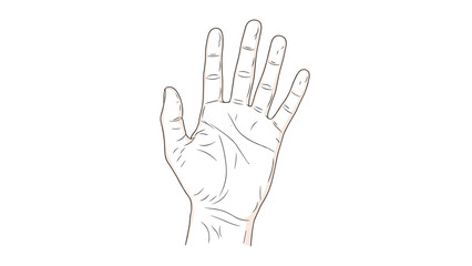 Obraz premium Detailed line drawing of a human palm showing various lines used in palmistry or anatomical studies on a plain white background for fortune telling.