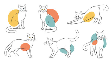 Naklejka premium Artistic sketches of cats in various poses such as sitting and stretching with colorful abstract background shapes.