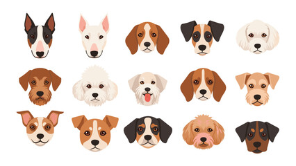 Fototapeta premium Detailed collection of diverse dog breed faces showing different ear shapes, fur patterns, and facial expressions.
