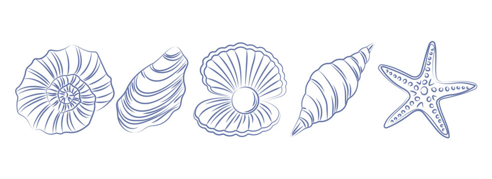 Set of seashells on white background. Trending doodles, twisted shells. Vector pen drawn vintage element
