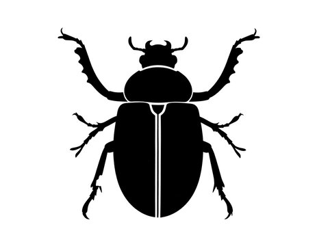 Minimalist black beetle silhouette icon isolated on white background