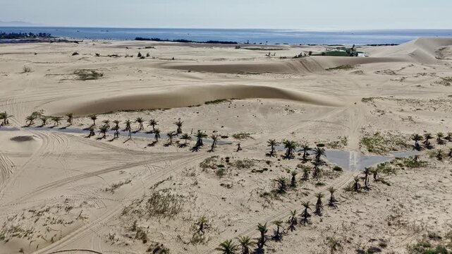 Aerial Drone Phan Rang Coastal Sand Dunes Stretching Turquoise Sea Clear Blue Sky Vietnam