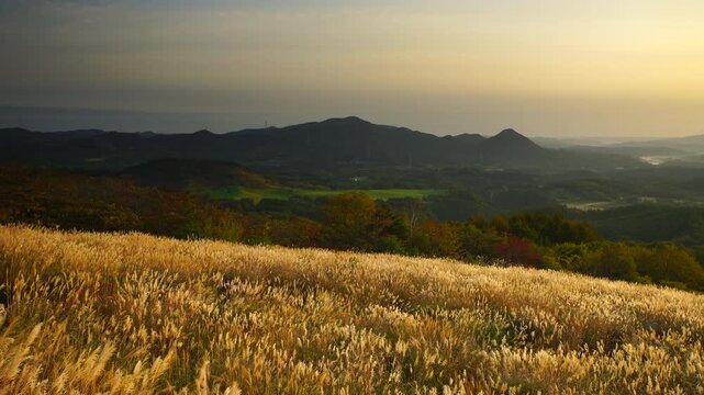 大黒森から望む高堂山と折爪岳などの山並みとススキと朝日