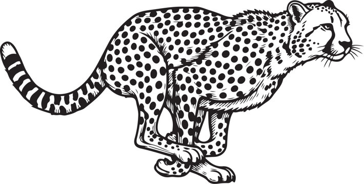 A sleek cheetah captured in a dynamic running pose with distinct spotted fur pattern. vector illustration
