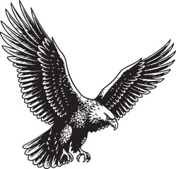 Fototapeta premium Majestic eagle soaring through the sky with outstretched wings in detailed line art vector illustration