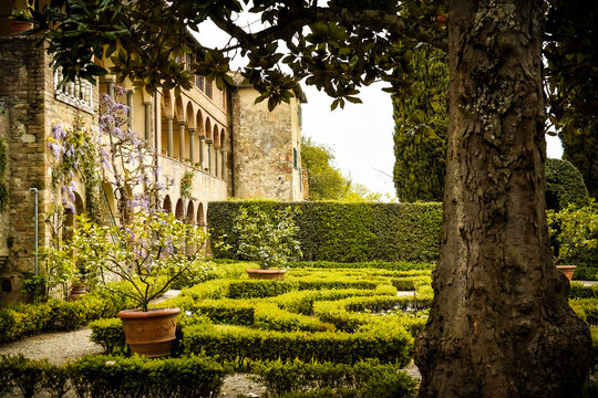  l'Antica Certosa di Pontignano,  all&rsquo;interno della Certosa, la Cappella di Sant&rsquo;Agnese, riconosciuta al mondo come una piccola "Cappella Sistina" ,Siena, Toscana,Italia