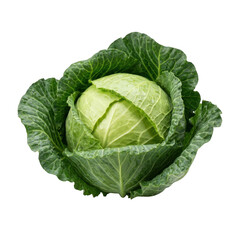 Obraz premium A vibrant green cabbage head with textured leaves is isolated on transparent background