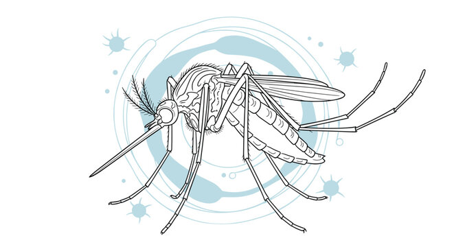 Detailed black and white sketch of a mosquito with its long proboscis and legs, surrounded by abstract germ like circular patterns.