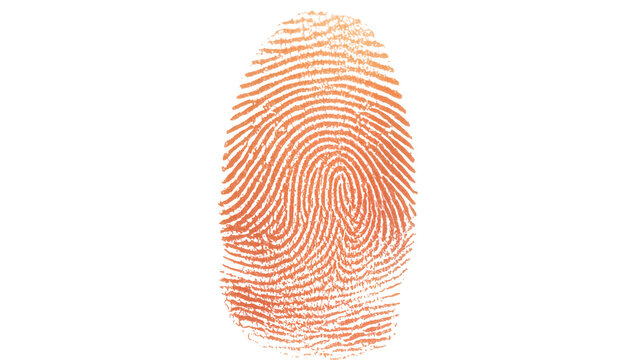 Orange Human Fingerprint Detail with Complex Ridge Pattern