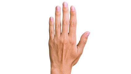 Obraz premium Pale human hand palm facing upwards showing fingers and skin