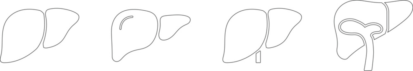 Obraz premium liver organ icon logo sign set vector outline