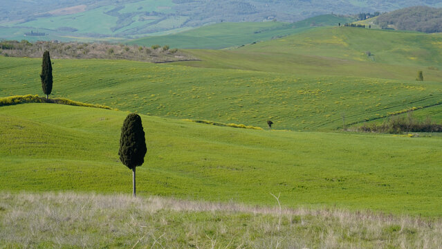 I dintorni di Pienza, caratteristico borgo rinascimentale, offrono panorami mozzafiato sulle colline della Val D'Orcia, patrimonio dell'umanit&agrave; Unesco. Provincia di Siena, Toscana, Italia