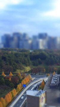 皇居と丸の内のビル群とイチョウ並木の一日のミニチュア風景