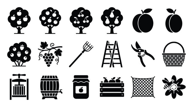 Comprehensive collection of fruit harvest icons featuring orchard trees, fresh produce, gardening tools, and processing equipment, perfect for farmingrelated infographics and agricultural