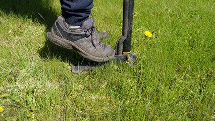 Gardener removing dandelion Taraxacum officinale with manual stand up weed puller. Practical garden maintenance, organic care, weed control and traditional herbal plant use © jtamm