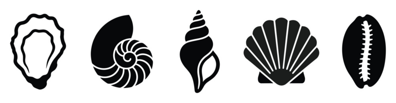 Diverse collection of oceanic seashells featuring oyster nautilus conch scallop and cowrie perfect for marinethemed iconography decoration and graphic resource use